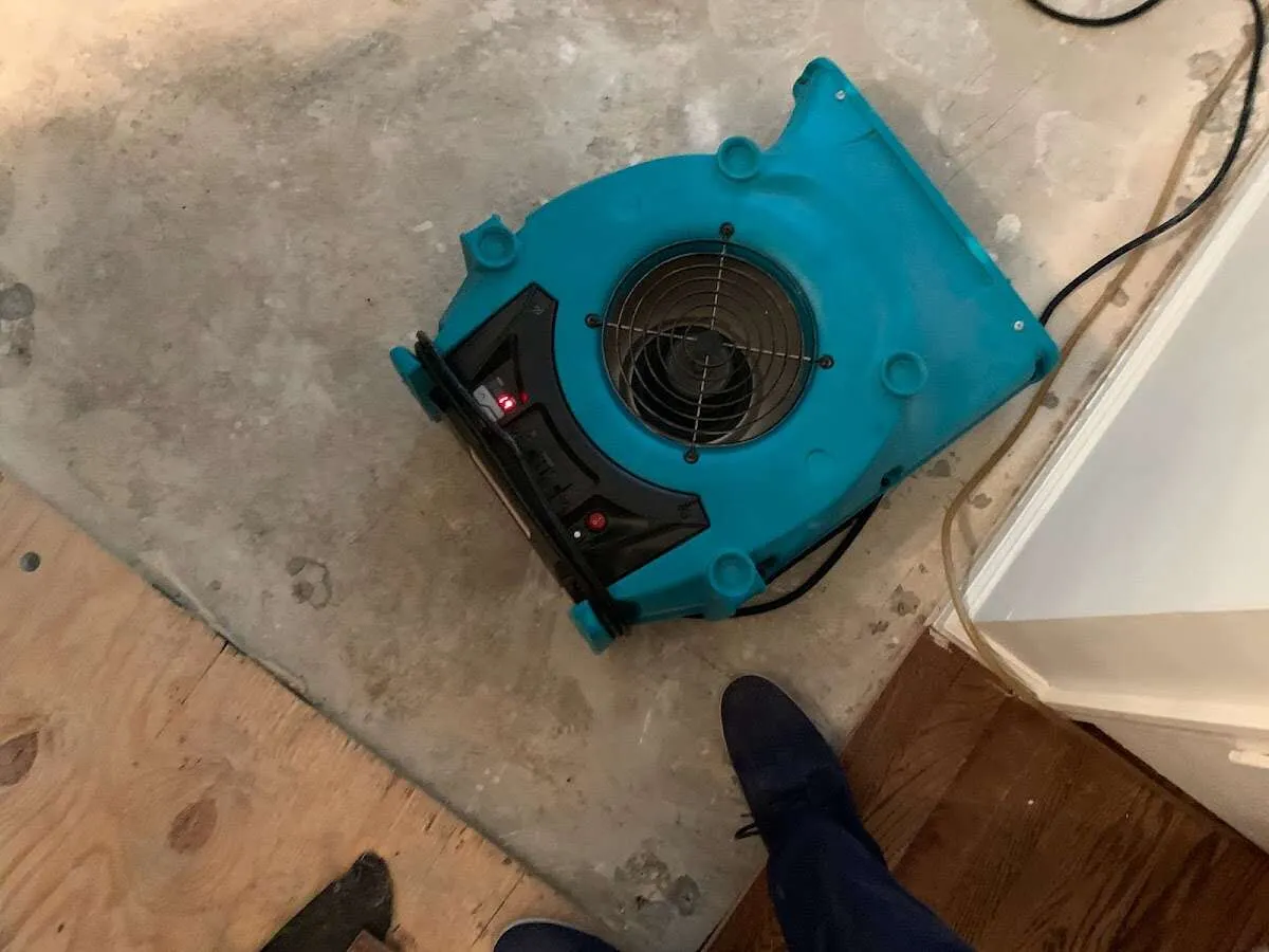 Air mover drying subfloor during Leak Detection & Repair in Hornell